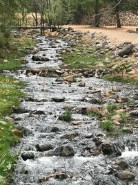 Stream flowing through rocks in forest