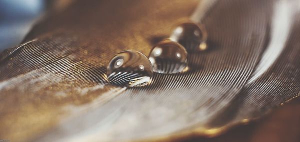 Close-up of buttons on table