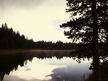 Scenic view of lake in forest against sky