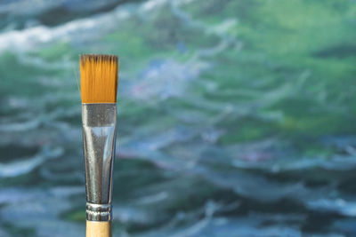 Close-up of paintbrush against sea
