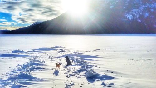 Scenic view of snow in sea against sky