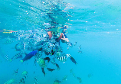 Man swimming in sea