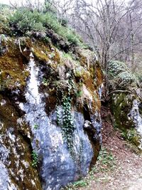 Stream flowing through rocks in forest