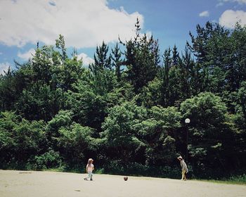 Full length of woman standing on tree trunk
