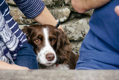 Low section of man with dog