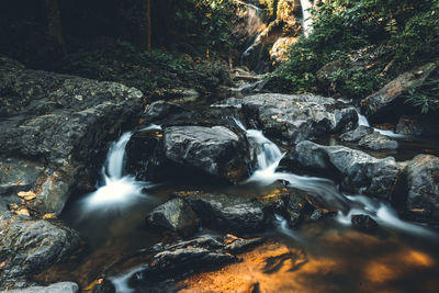 Water flowing through rocks in forest