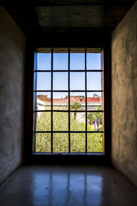 Trees seen through glass window of building