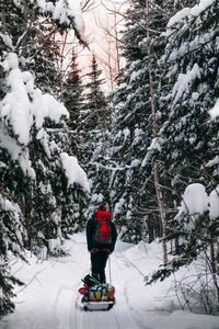 Rear view of man skiing on snow covered land