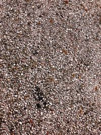 Full frame shot of pebble beach