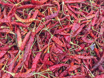 Full frame shot of red chili peppers