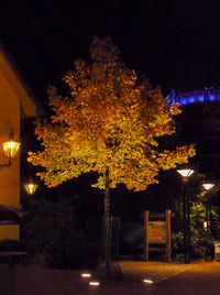 Illuminated street light at night