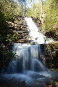 Scenic view of waterfall in forest