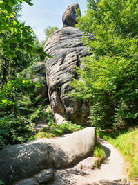 Scenic view of waterfall