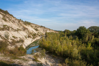 Scenic view of river amidst trees against sky