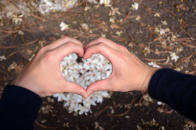 Cropped hands of woman making heart shape against flowers