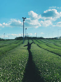 Rear view of man on field against sky