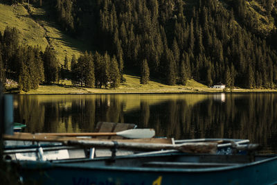 Scenic view of lake in forest