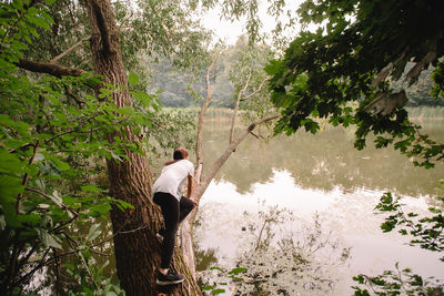 Woman climbing tree over lake in forest