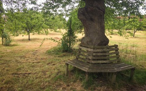 Empty bench on field against trees