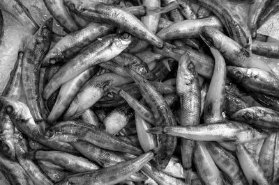 Full frame shot of fresh vegetables at market stall