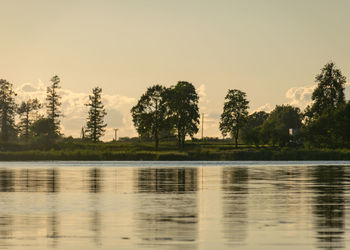 Sunny summer backlight landscape, dark tree silhouettes in the background, reflections in the water