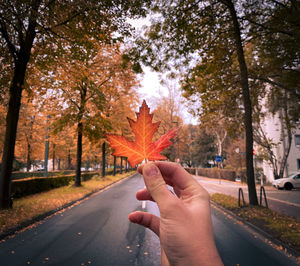 Cropped hand of woman holding autumn leaf