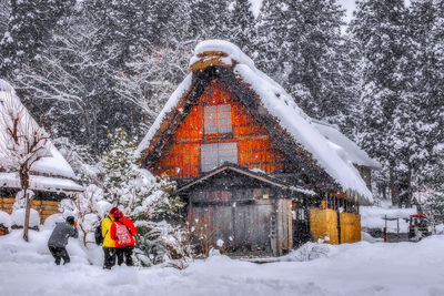 Snow covered trees and buildings during winter