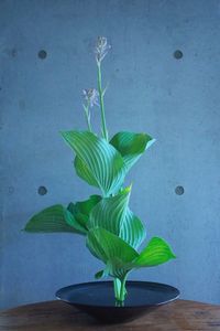 Close-up of flower vase on table at home