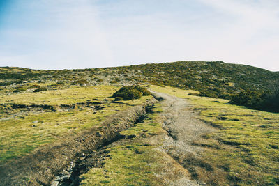 Scenic view of landscape against sky