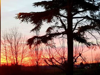 Silhouette trees on landscape against sky at sunset