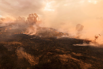 View of forest fire against sky