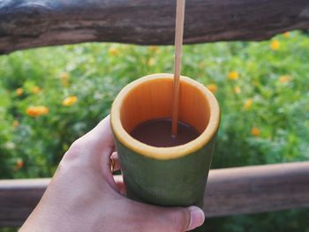 Close-up of person holding drink