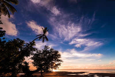 Low angle view of silhouette trees against sky during sunset