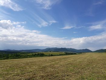 Scenic view of field against sky