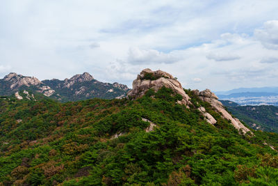 mountain