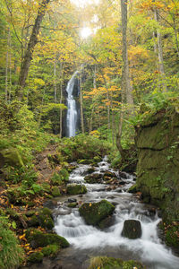 Waterfall in forest