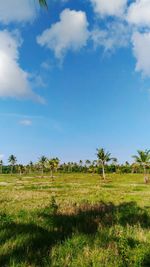 Scenic view of grassy field against cloudy sky