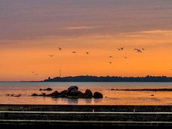 Birds flying over sea against orange sky