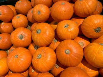 High angle view of pumpkins in market