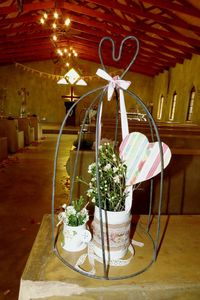 Close-up of flower pot on table