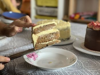 Midsection of person holding ice cream in plate