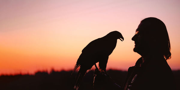 Banner silhouette of man and wild bird over sunset sky looking on each other buzzard or eagle symbol