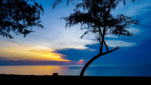 Silhouette tree on beach against sky at sunset