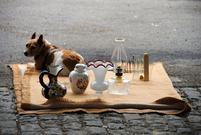 View of a cat on table