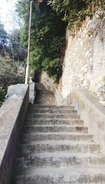 Low angle view of steps against trees