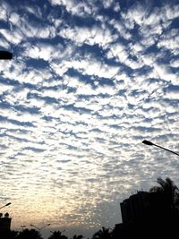 Low angle view of silhouette trees against sky