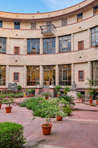 Potted plants outside building