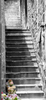 Steps leading to staircase