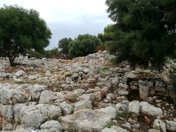 Stone wall by trees against sky