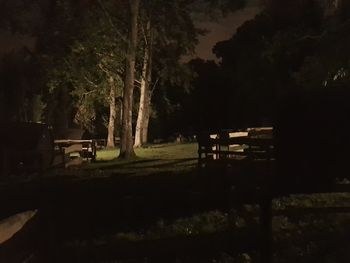 Empty bench by trees on field at night